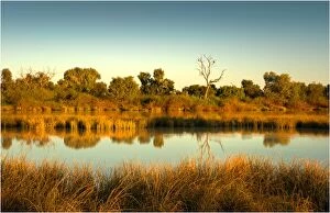 Images Dated 29th July 2011: Lagoon in flood, Birdsville, outback Queensland, Australia