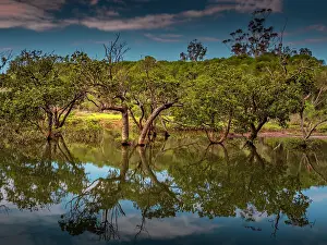 : Lagoon Reflections, Merimbula, South Coast of New South Wales