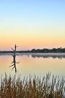 Lake Bonney, South Australia