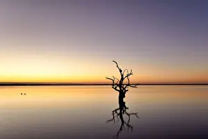 Rachel Dulson Prints: Lake Bonney, South Australia