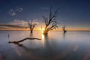 Images Dated 2nd March 2021: Lake Bonney, South Australia