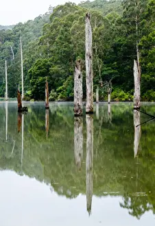 Lake Elizabeth, Great Otway National Park