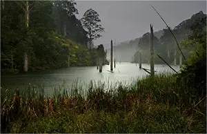 Lake Elizabeth, south-western Victoria, Australia