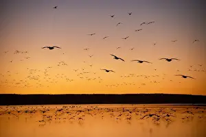 Lake Hope