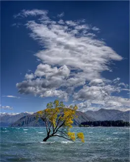 Gold Prints: Lake Wanaka, in the Autumn, showing the vibrant golds and yellows of the seasonal colours