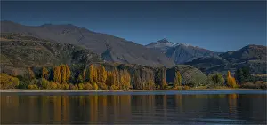 Gold Prints: Lake Wanaka, in the Autumn, showing the vibrant golds and yellows of the seasonal colours