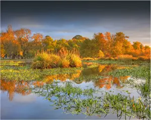 Lake Wendouree dawn in Autumn, Victoria, Australia