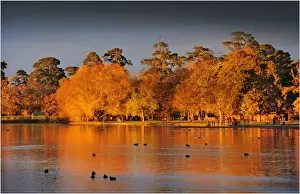 Lake Wendouree dawn in Autumn, Victoria, Australia