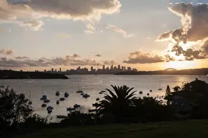 Lawn Prints: Landscape of Sydney Harbour
