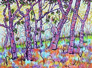 Large Old Banksia Trees with Background Shrubs in a Bush-land Area Acrylic Painting