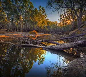 Late afternoon light just before dusk along the banks of a Billabong in the Murray Valley national park, near the Murray river, Corowa, New South Wales, Australia