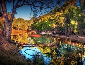 Late afternoon light just before dusk along the banks of a Billabong in the Murray Valley national park, near the Murray river, Corowa, New South Wales, Australia