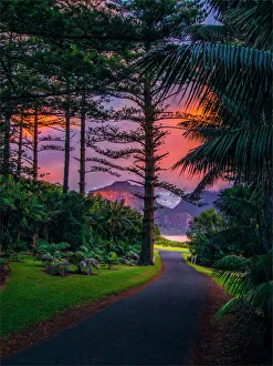 Late afternoon light, just near dusk, Lord Howe Island, New South Wales, Australia Late afternoon light, just near dusk, Lord Howe Island, New South Wales, Australia