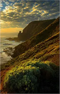 Images Dated 21st August 2011: Late afternoon light near dusk on the coastline at Cape Schanck