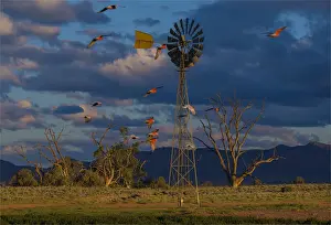 Late afternoon light at a remote agricultural windmill in outback South Australia