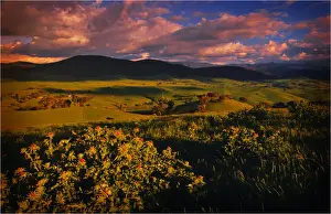 Late afternoon light sweeps across the rolling countryside near Tooma, northern Victoria
