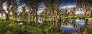 Awe Inspiring Australian Panorama Prints: Late Autumn, and the wet area of natural beauty near Taminick