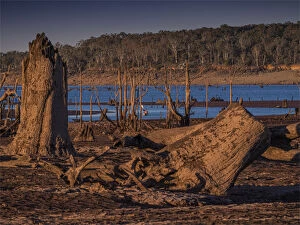 Images Dated 23rd May 2019: Late summer drought conditions at Lake Glenmaggie, west Gippsland, Victoria