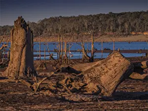 Late summer drought conditions at Lake Glenmaggie, west Gippsland, Victoria
