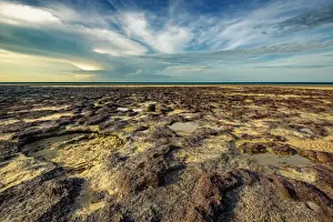 Lee Point Beach in Darwin