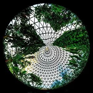 Life in a tropical dome