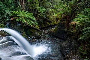 Images Dated 27th May 2016: Liffey Falls, Tasmania