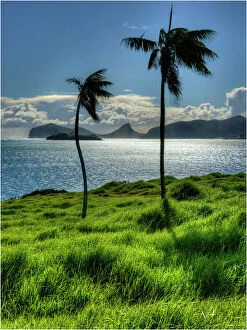 Images Dated 7th May 2013: Back light over the lagoon at Lord Howe Island