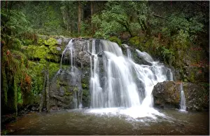 Water Form Prints: Lilydale falls, northern Tasmania
