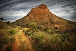 Images Dated 25th April 2012: Lions Head