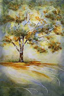Art Collection: Liquid Amber Tree in Autumn Backlit by Morning Sunshine Watercolor Painting