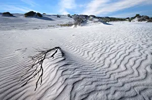 Kangaroo Island Prints: Little Sahara Sand Dune System, Kangaroo Island, South Australia