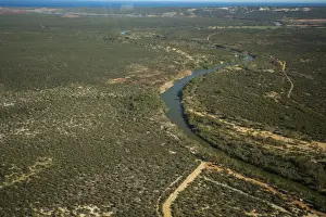 Images Dated 24th May 2016: live, wate, bush (plant)