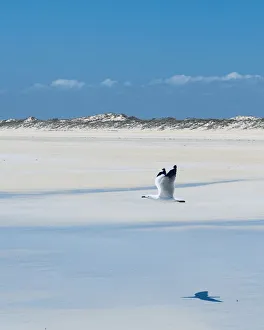 Located in the beach holiday town of Broome in the Kimberley region