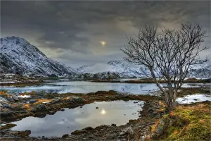 Arctic Circle Prints: Lofoten Peninsular, winter wonderland, Arctic circle, Norway