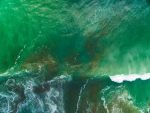 Top looking down at sea waves splashing at Muriwai Beach, Auckland Top looking down at sea waves splashing at Muriwai Beach, Auckland