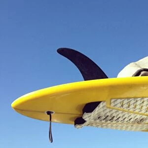 Jodie Griggs Collection: Looking up at surfboard tail against a blue sky