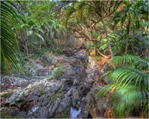 1970 1979 Prints: Lord Howe Island, majestic and scenically wonderful, is part of New South Wales, Australia
