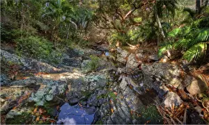 1970 1979 Prints: Lord Howe Island, majestic and scenically wonderful, is part of New South Wales, Australia