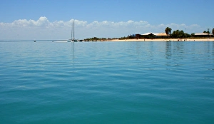 Monkey Mia Prints: A lovely place to visit where the dolphins swim to shore for a hand fed fish or