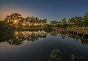 Images Dated 27th February 2017: The lovely wetlands at Hidden Grove, Keysborough South, Melbourne, Victoria, Australia