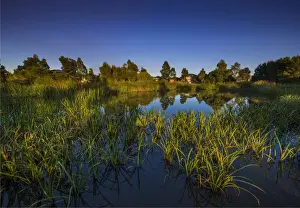 The lovely wetlands at Hidden Grove, Keysborough South, Melbourne, Victoria, Australia