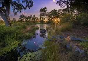 Images Dated 26th February 2017: The lovely wetlands at Hidden Grove, Keysborough South, Melbourne, Victoria, Australia