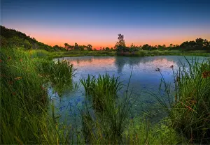 The lovely wetlands at Hidden Grove, Keysborough South, Melbourne, Victoria, Australia