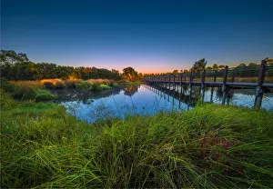 The lovely wetlands at Hidden Grove, Keysborough South, Melbourne, Victoria, Australia