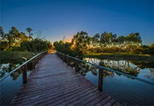 Images Dated 28th February 2017: The lovely wetlands at Hidden Grove, Keysborough South, Melbourne, Victoria, Australia