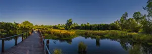 Images Dated 27th February 2017: The lovely wetlands at Hidden Grove, Keysborough South, Melbourne, Victoria, Australia