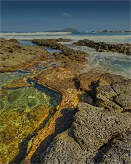 Low tide and foreshore Cresswell bay