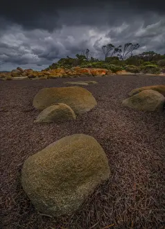 Overcast Prints: Low Tide Lillies Bay