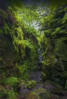 Luds Church, a natural rock cleft used in times past for secret religious services in the Peak district national park, Staffordshire, England, United kingdom