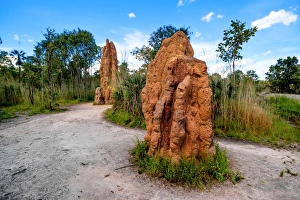 Magnetic Termite Mounds, Litchfield National Park, North Territory, Australia Magnetic Termite Mounds, Litchfield National Park, North Territory, Australia